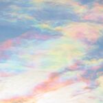 もう8月も後半・・・