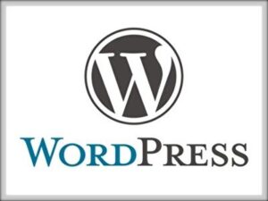 「toolプラス」はライブドアブログとWordPressのどちらで始めるか…。。