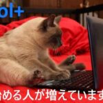 「toolプラス」を始める人が猛烈に増えている・・・!