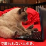 「toolプラス」が本業になった場合、年金や保険はどうなるの??