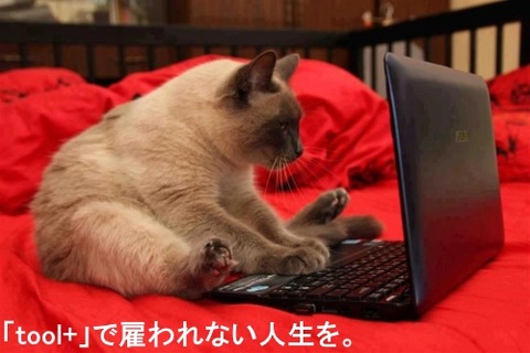 「toolプラス」が本業になった場合、年金や保険はどうなるの？？