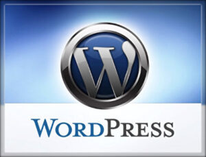 「toolプラス」は副業ならlivedoorブログ、本業ならWordPressで！