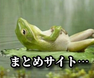 「toolプラス」で運営するのは専門サイト？それともゴチャ混ぜサイト？