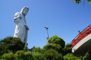 「toolプラス」のお蔭で人を好きになってきた(笑)