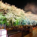東京は桜が満開・・みんなが自分らしく楽しく仕事ができますように☆