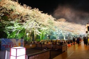 東京は桜が満開・・みんなが自分らしく楽しく仕事ができますように☆
