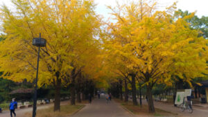 【toolプラス】様々なニュースに疲れ、変わらない自然に癒やされる・・