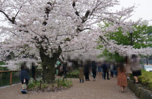 【toolプラス】世の中を先読みして取材・・(千鳥ヶ淵・靖国へ)